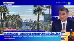 Marineland: "un gâchis à la française" pour le député LR Eric Pauget