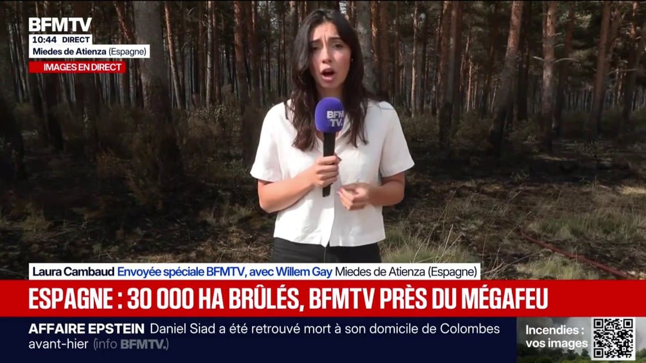 İspanya'da Yangın: 32.000 Hektar Kül Oldu