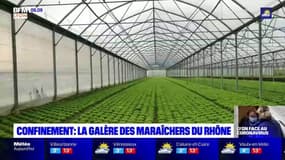 Confinement: l'inquiétude des maraîchers du Rhône après la fermeture des marchés