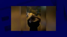 La jeune femme filmée en train de s'attacher les cheveux n'est pas décédée dans les manifestations qui ont lieu en Iran. Elle a été confondue avec une autre manifestante, effectivement décédée.