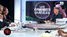 Ruffin interpelle sur la vaisselle de l'Elysée: "Il voudrait que le président reçoive avec des assiettes en plastique?"