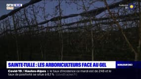 Sainte-Tulle: les arboriculteurs au chevet de leurs vergers pour les protéger du gel