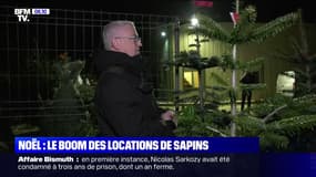Noël: le boom des locations de sapins