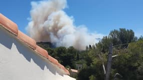 Incendie de pinède dans le Var - Témoins BFMTV