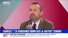 Procès de Marine Le Pen: "Le dommage de ne pas pouvoir candidater éventuellement à l'élection présidentielle est irréparable à cause de l'exécution provisoire", estime Sébastien Chenu (RN)