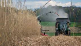 Chez les agriculteurs français, près d'un ménage sur cinq vit sous le seuil de pauvreté.