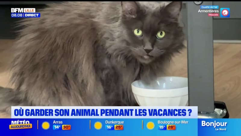Comment faire garder son animal de compagnie pendant nos vacances ?