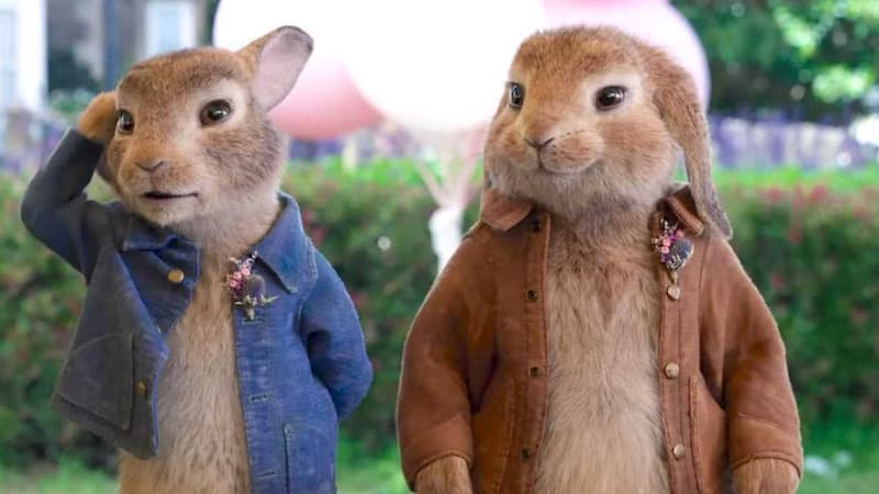 Le film "Pierre Lapin 2"