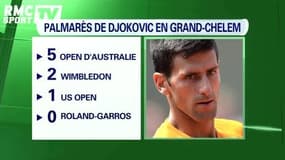 Enfin l'année de Djokovic ?