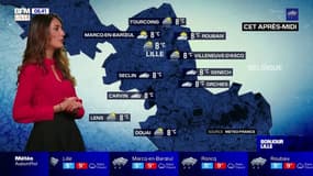 Une météo variable entre nuages, éclaircies et averses ce vendredi dans la région lilloise, jusqu'à 8°C cet après-midi