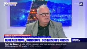 Marseille: des rongeurs présents dans les bureaux d'agents du 2e arrondissement