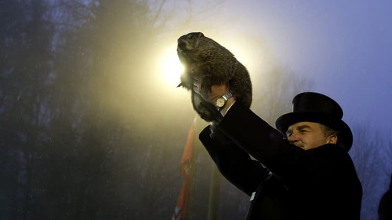 Punxsutawney Phil, la marmotte la plus célèbre au monde a rendu aujourd'hui son verdict - Mardi 2 février 2016