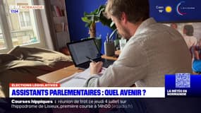 Législatives en Normandie: quel avenir pour les assistants parlementaires?