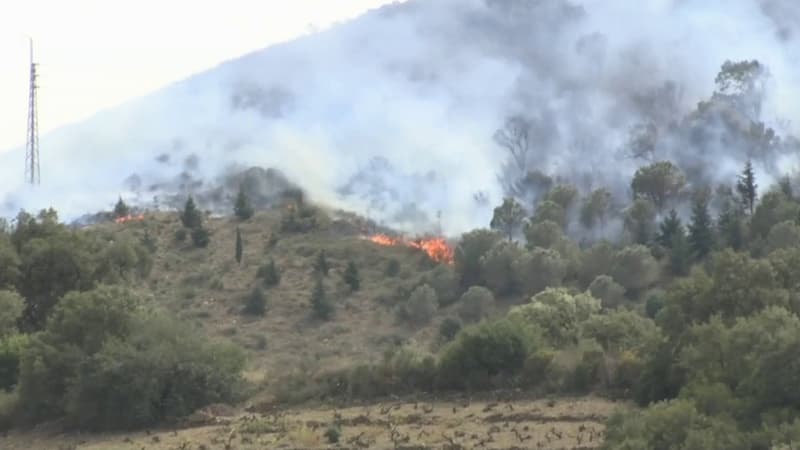 Incendie dans les Pyrénées-Orientales: la situation se stabilise 