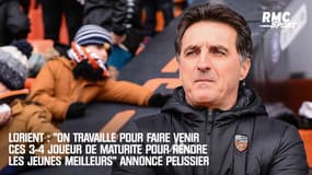 Lorient : "On travaille pour faire venir ces trois-quatre joueurs de maturité pour rendre les jeunes meilleurs" annonce Pélissier