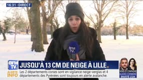 Jusqu'à 13 centimètres de neige à Lille
