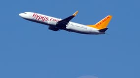 Un avion de la compagnie aérienne Pegasus Airlines (Photo d'illustration)