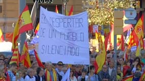 Un million de manifestants à Barcelone pour l'unité de l'Espagne 