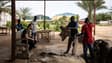 Abbas Hassan Zein vérifie la qualité des peaux à l'usine Ztannery à Kano