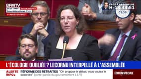 "Votre silence est alarmant", lance Cyrielle Châtelain (Écologiste et social) à Sébastien Lecornu sur l'écologie