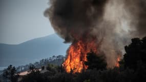 Eubée avait déjà connu des feux importants en 2019, comme le montre cette photo prise à l'époque. 
