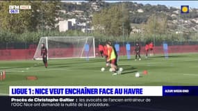 Ligue 1: Nice veut enchaîner face au Havre