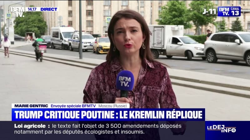 Donald Trump critique Vladimir Poutine: le porte-parole du Kremlin répond et indique que les frappes russes sont 