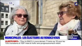 "Les électeurs sont sereins": malgré l'épidémie de coronavirus, les Parisiens se sont déplacés pour aller voter aux municipales