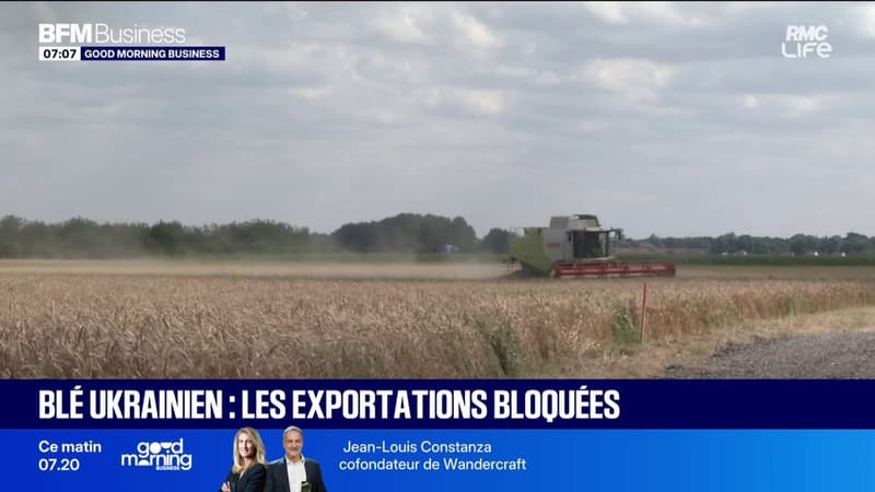 Le blé repart à la hausse