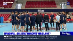 Handball: Sélestat en route vers la D1? 