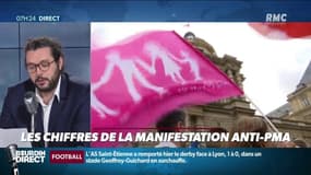 Quand les manifestants anti-PMA gonflent (énormément) les chiffres de leur mobilisation