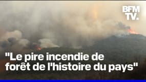  Corée du Sud: des incendies "historiques" font au moins 24 morts  