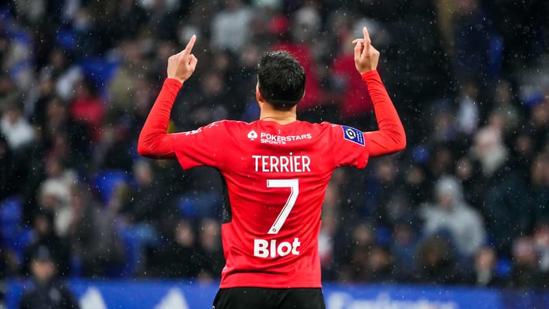 M. Terrier
