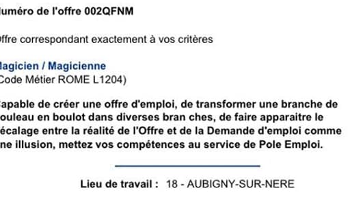 Capture d'écran d'une des annonces postées sur le site Internet de l'agence pôle emploi d'Aubigny-sur-Nère