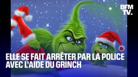 Floride: elle vole les cadeaux de Noël de ses enfants et se fait arrêter en compagnie du Grinch