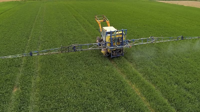 Un tracteur épand des pesticides le 11 juin 2013 dans le nord de la France.