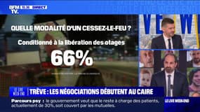 Trêve : les négociations débutent au Caire - 07/04