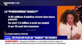 LA BANDE PREND LE POUVOIR - De plus en plus de "Tanguy" en France