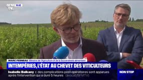 Intempéries: le ministre de l'Agriculture assure qu'il y aura des aides pour les agriculteurs impactés