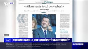 Un député Renaissance bientôt sanctionné pour avoir publié une tribune dans le JDD ?