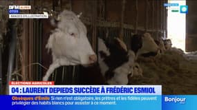 Élections agricoles: Laurent Depieds succède à Frédéric Esmiol dans les Alpes-de-Haute-Provence
