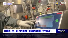 Vitrolles: au cœur de l'usine d'huile d'olive Puget