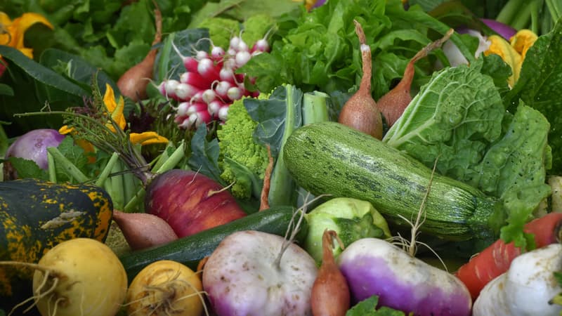 (Photo d'illustration)