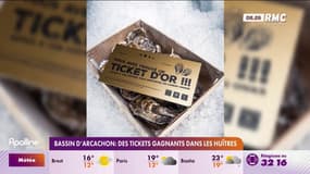 Bassin d'Arcachon: des tickets gagnants dans les huîtres