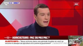 Colère des agriculteurs: "L'écologie, oui, mais l'écologie punitive, non" affirme Jordan Bardella