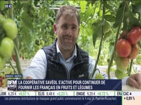 La France qui résiste: La coopérative Savéol s'active pour continuer de fournir les Français en fruits et légumes - 24/04