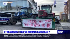 Strasbourg: les agriculteurs manifestent contre les normes européennes