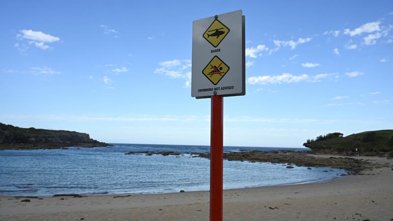 Un avis d'ordre public est visible près du site d'une attaque mortelle de requin au large de la plage de Little Bay, à Sydney, le 17 février 2022.