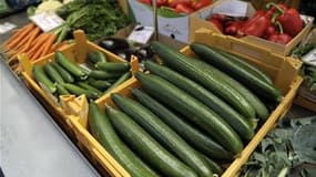 Selon vous, faut-il suspendre les importations de légumes en France ? Dites-le dans le forum ci-dessous !