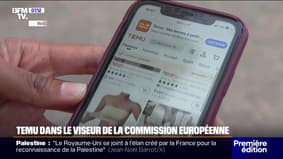 Normes de santé: jouets vendus sur TEMU dans le viseur de la Commission européenne